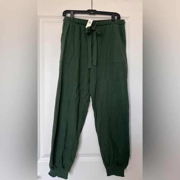 NWT - Aerie Green Pull On Pants - Picture 1 of 10